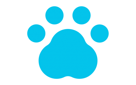 Sourcing Pet Supplies